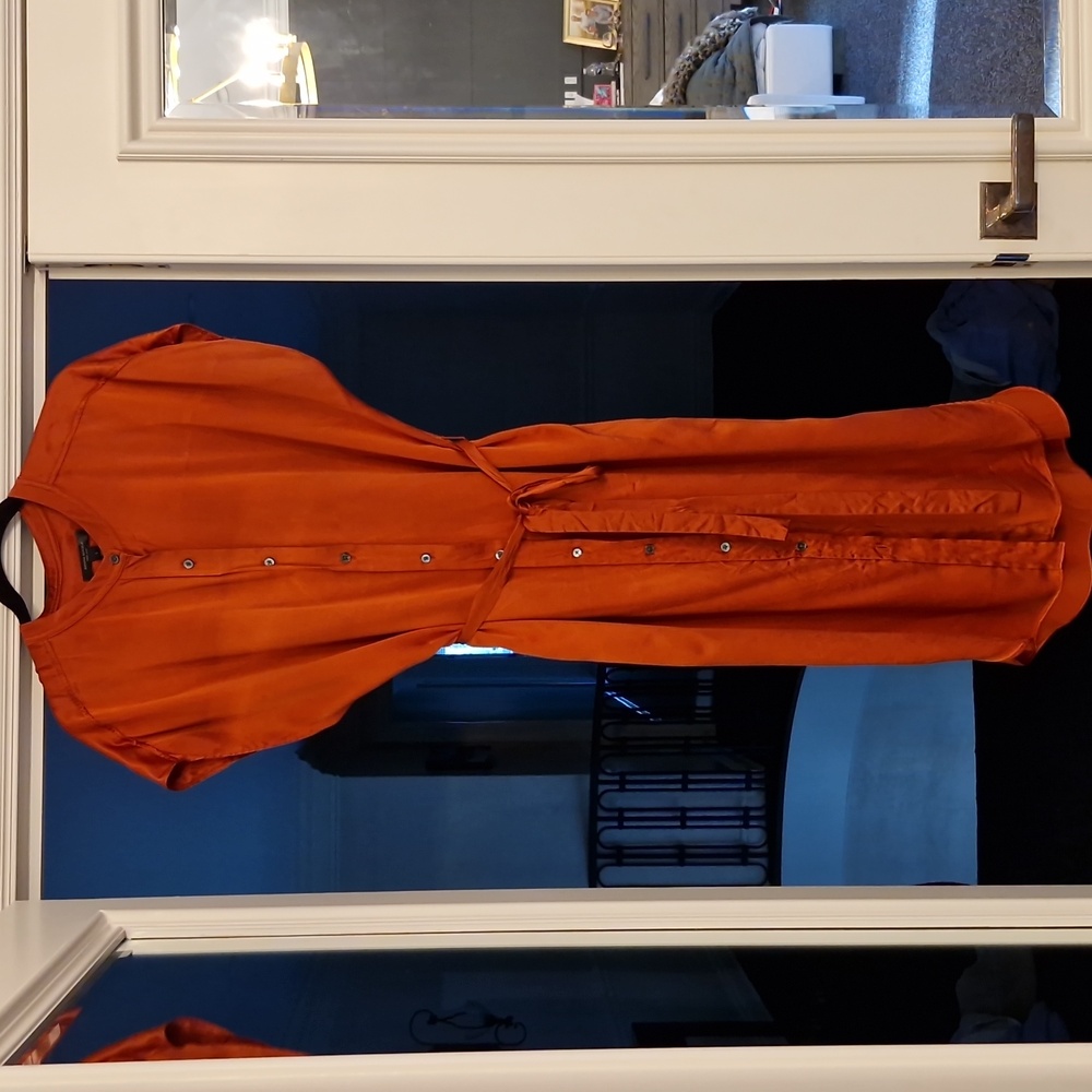 Rust colored dress to take to you from the office to the evening